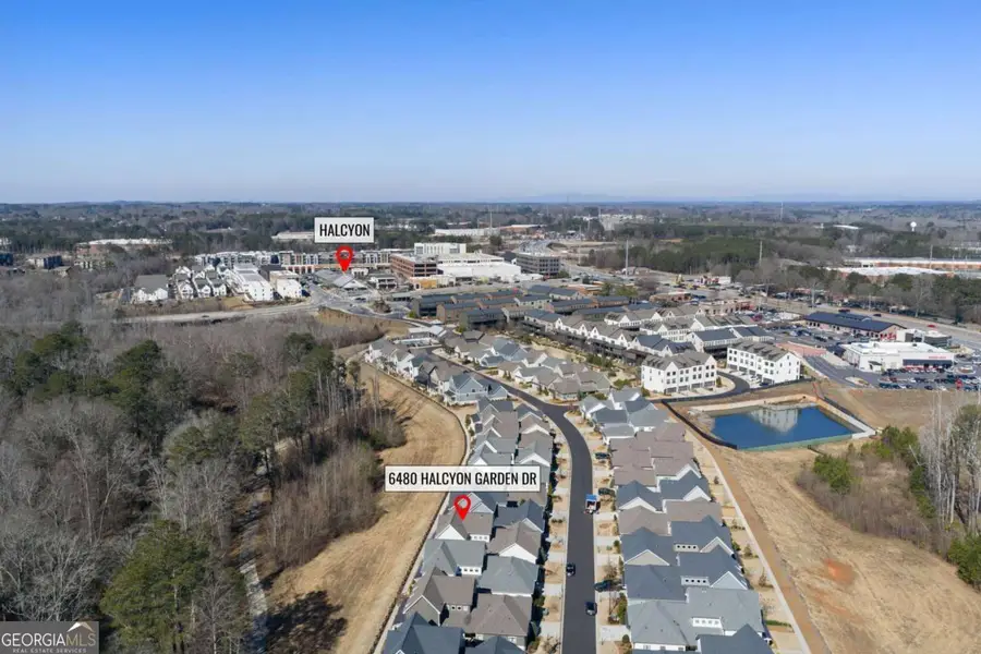 6480 Halcyon Garden Drive, Alpharetta, GA 30005 - Image #3