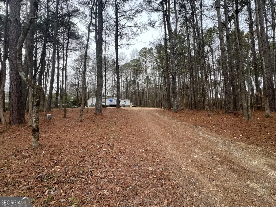 163 Bryant Road, Summerville, GA 30747 - #2