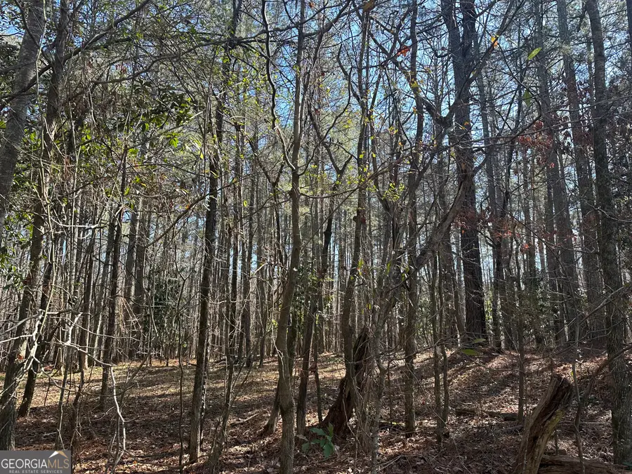 178 Crabapple Lane, Tyrone, GA 30290 - #3