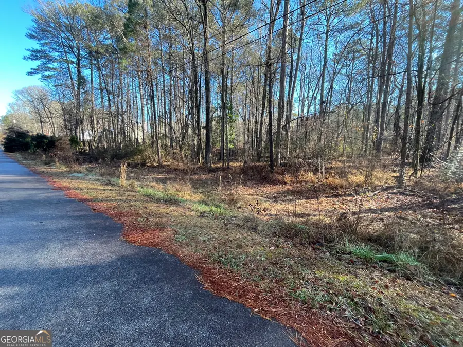 0 Oak Leaf Drive, Stockbridge, GA 30281 - #2