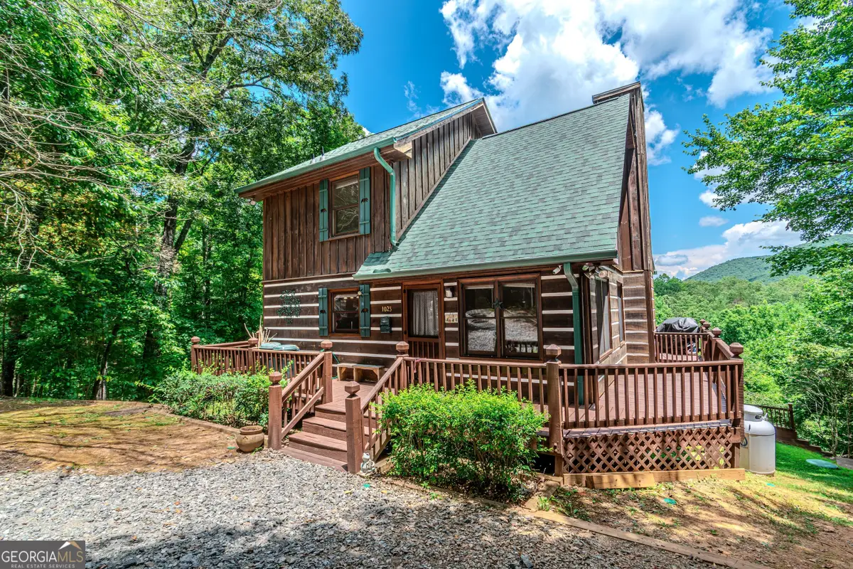 1023 Knollwood Road, Mineral Bluff, GA 30559 - #1