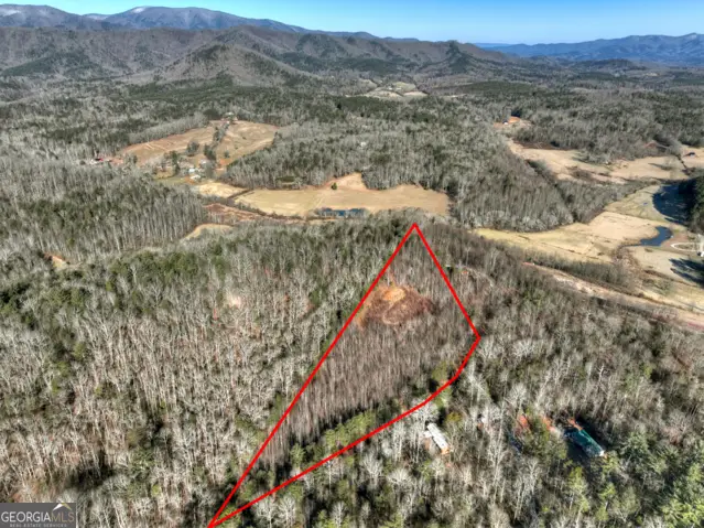 LT 131 & 132 Pack Creek Road, Blue Ridge, GA 30513 - #3