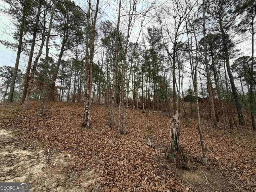 LOT 123 Lookout Trail, Sparta, GA 31087 - #3