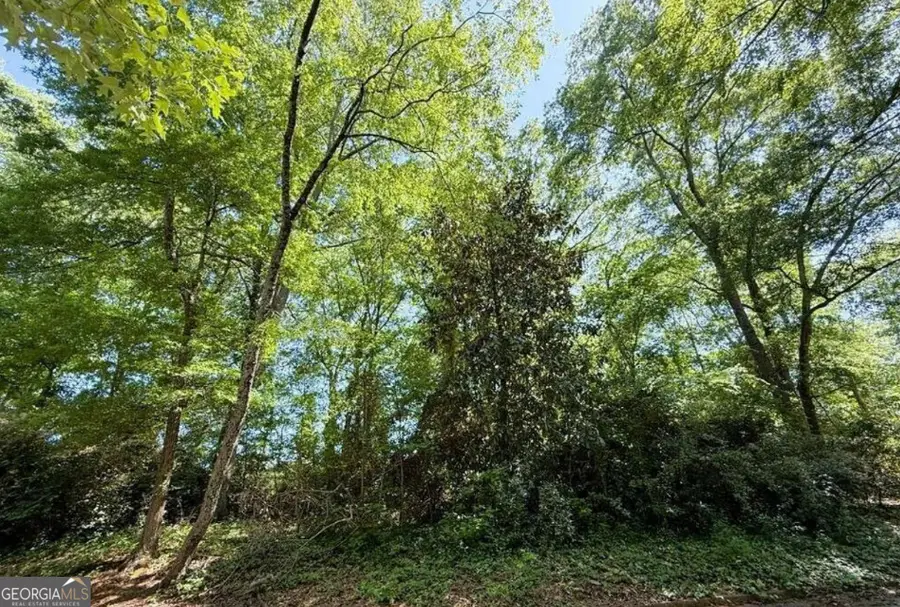 0 Oak Dr Drive, Elberton, GA 30635 - Image #2