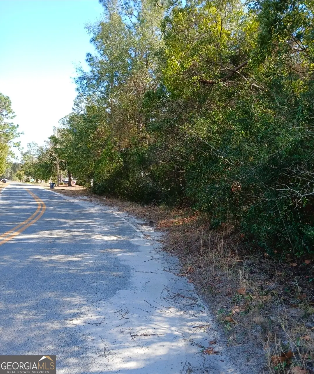 0-LOT 1 Owen Spatcher Road #LOT 1, Folkston, GA 31537 - Image #1