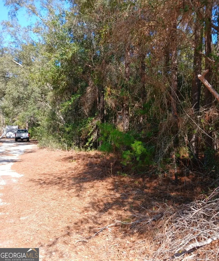 0-LOT 2 Owen Spatcher Road, Folkston, GA 31537 - Image #3