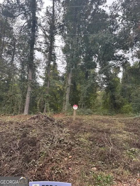 594 Cook Drive, Ellenwood, GA 30294 - #1