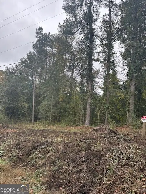 594 Cook Drive, Ellenwood, GA 30294 - #2