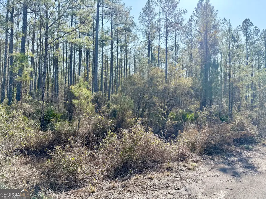 18 Satilla Plantation, Waynesville, GA 31566 - #3