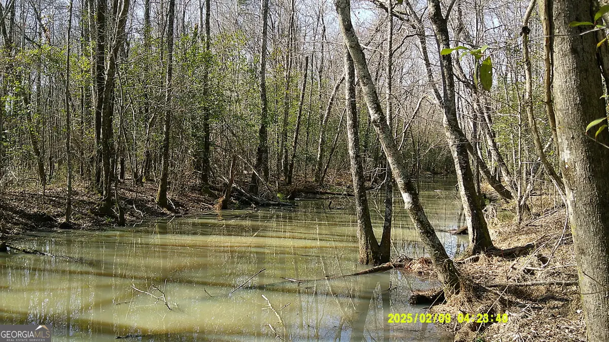 0 Elko Road, Unadilla, GA 31091 - #1