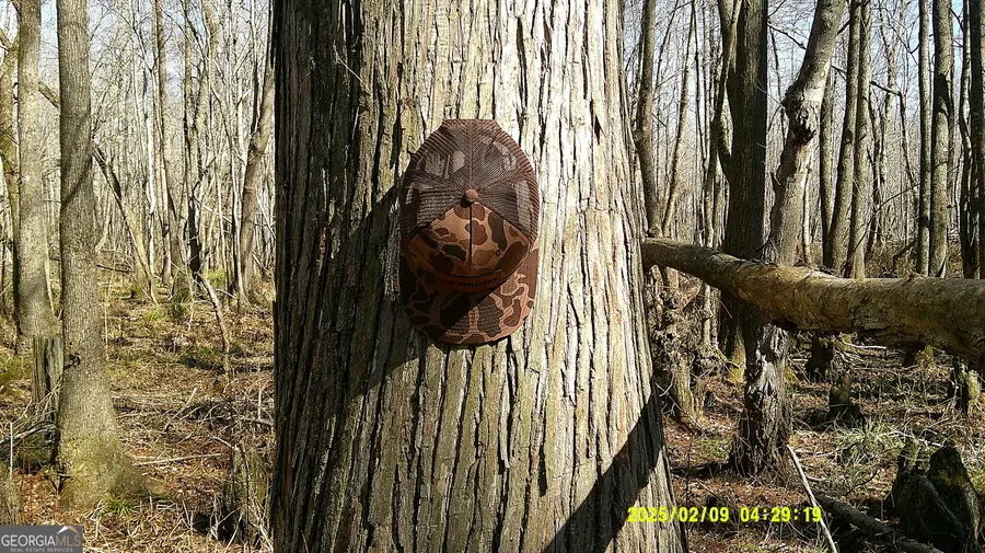 0 Elko Road, Unadilla, GA 31091 - #3