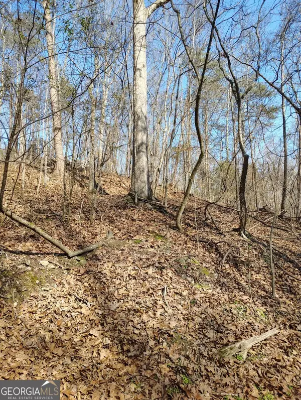 0 Braswell Road, Rockmart, GA 30153