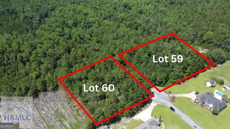 112 Vixenhill Drive, Jesup, GA 31546 - #2