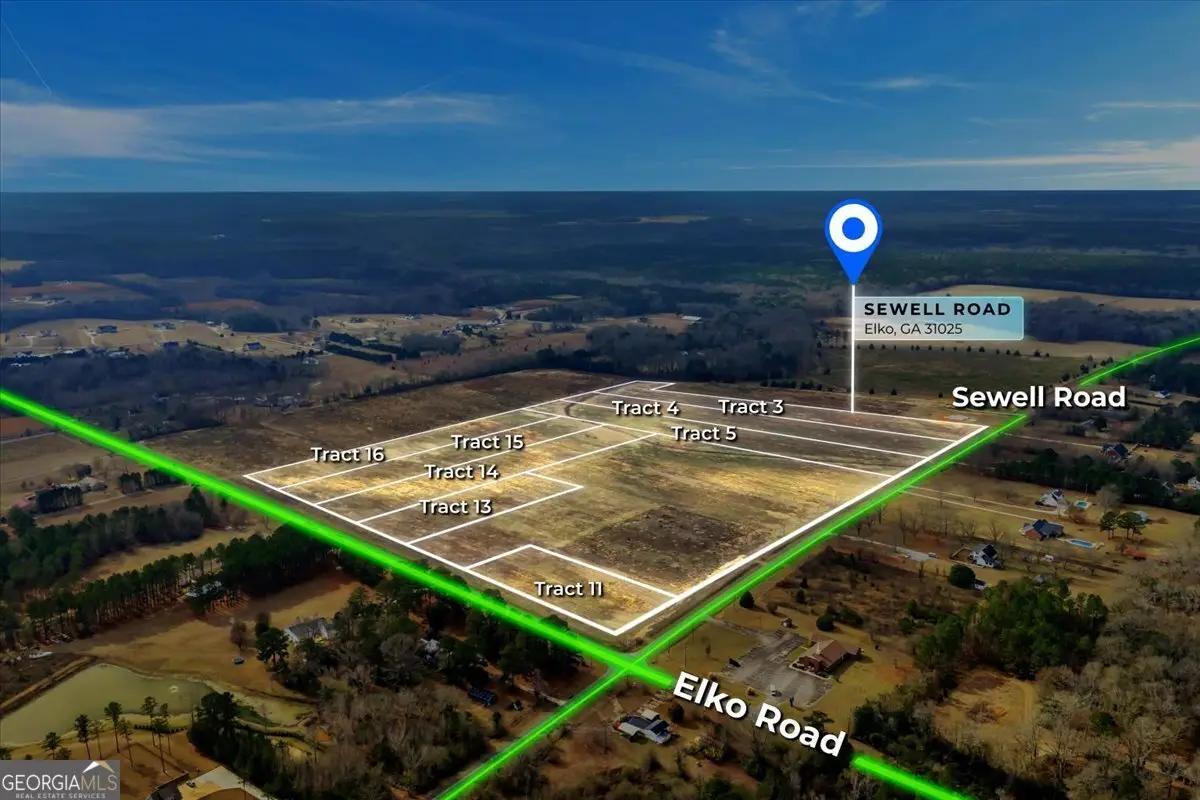 LOT 3 Sewell Road, Elko, GA 31025 - #1
