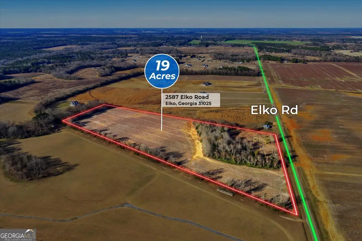 2585 Elko Road, Elko, GA 31025 - #1