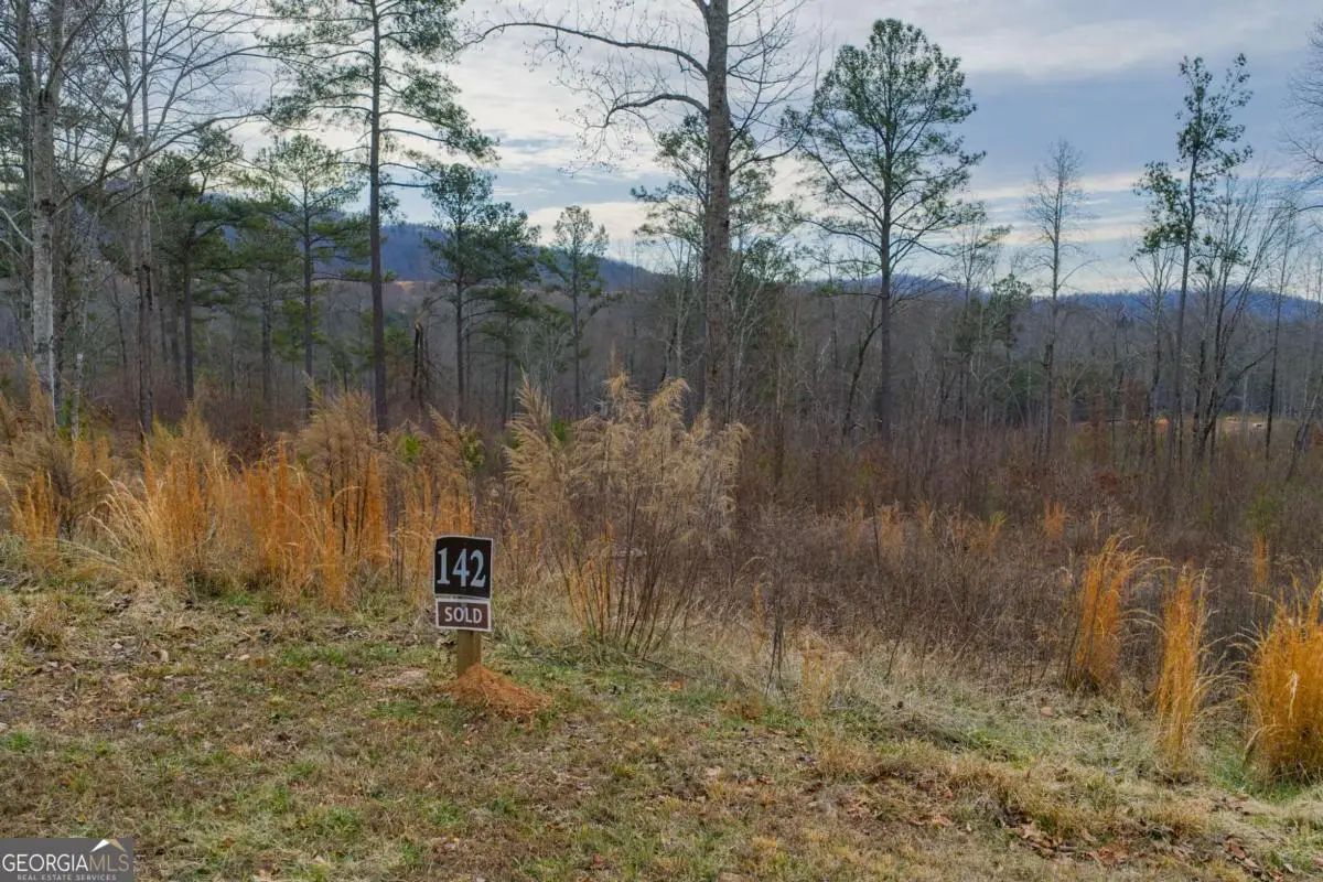 LOT 142 Twisted Oak Road, Talking Rock, GA 30175 - #1