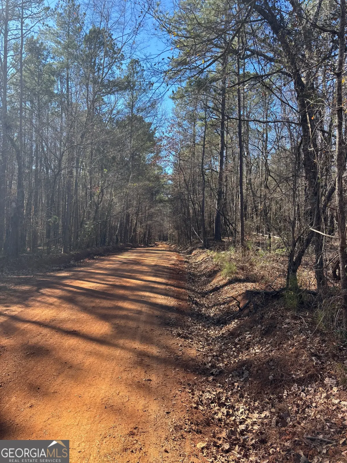 0 Carl Mathis Road, Talbotton, GA 31827 - #1