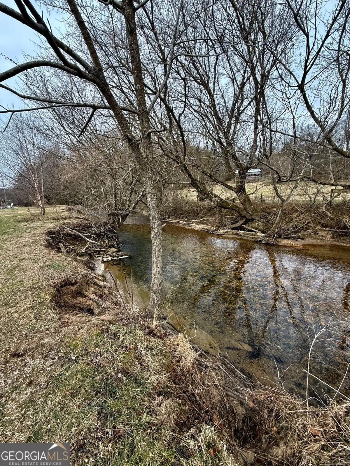 118 Mountain Meadows Drive #118, Morganton, GA 30560 - #1