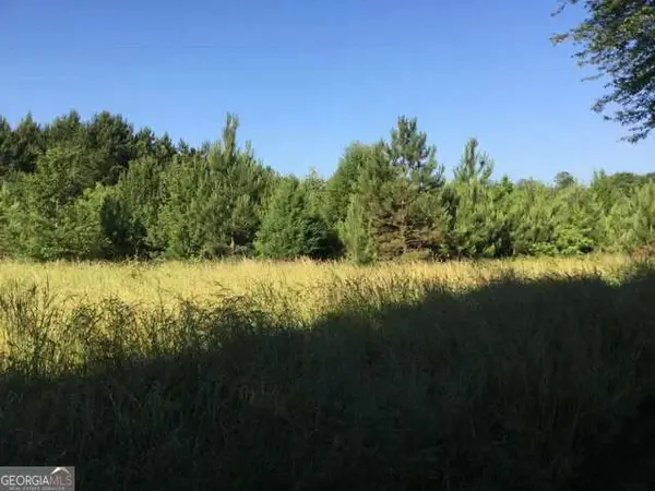 19.6 ACRES Grant Road, Fayetteville, GA 30215