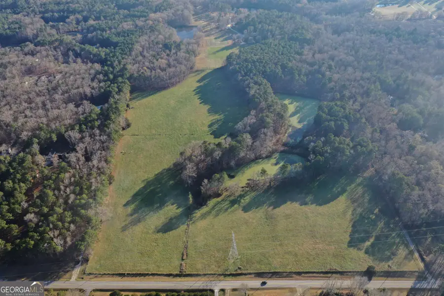 19.6 ACRES Grant Road, Fayetteville, GA 30215 - #3