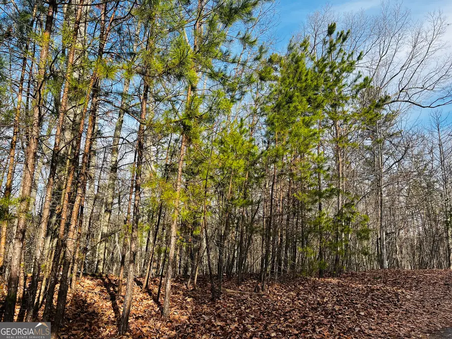 LOT 6 Planters Pointe Drive, Banks, GA 30511 - Image #2
