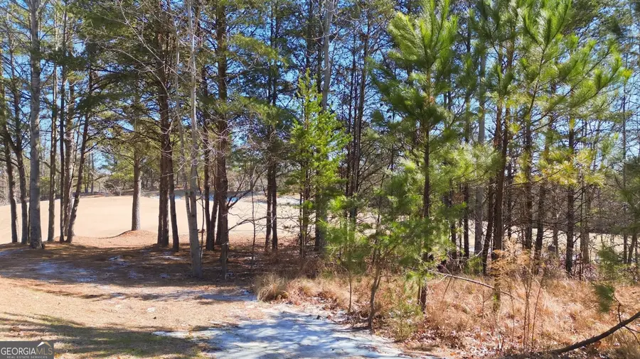 101 Cottage Lane, Toccoa, GA 30577 - Image #3