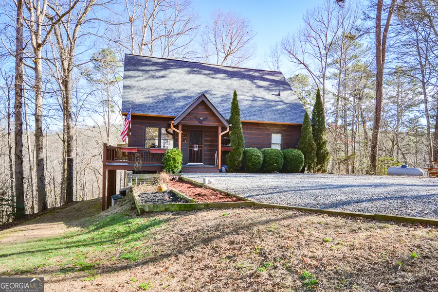 446 Pine Lane, Mineral Bluff, GA 30559 - #2