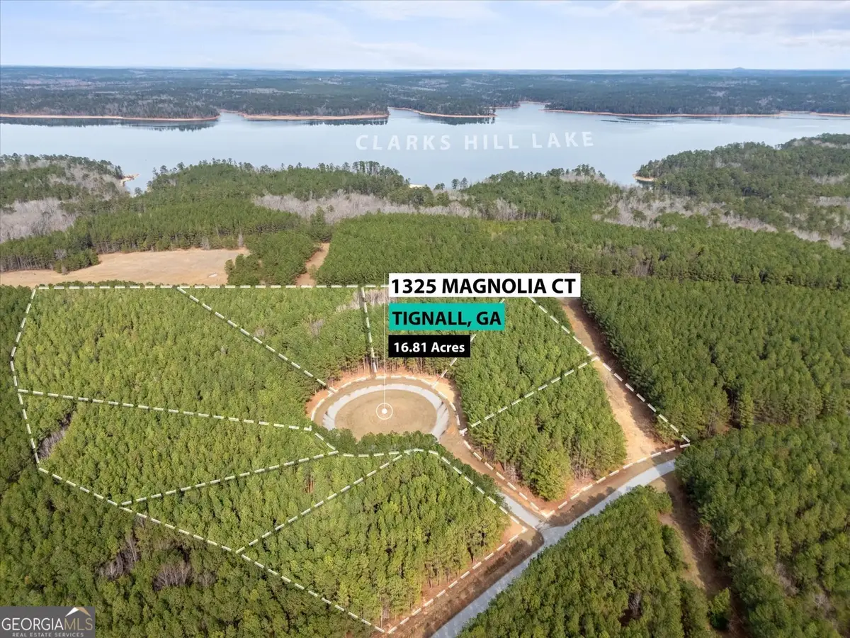 0 Magnolia Court, Tignall, GA 30668 - Image #1