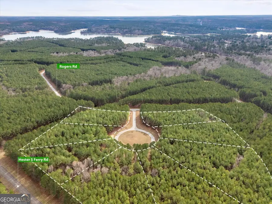 0 Magnolia Court, Tignall, GA 30668 - Image #3