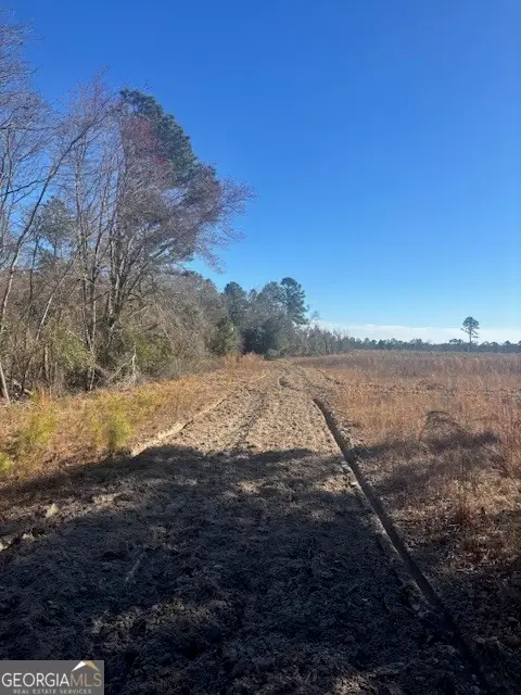 0 Starfish Lane, Lyons, GA 30436