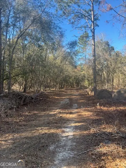 0 Starfish Lane, Lyons, GA 30436 - Image #2