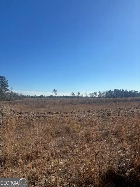 0 Starfish Lane, Lyons, GA 30436 - Image #3