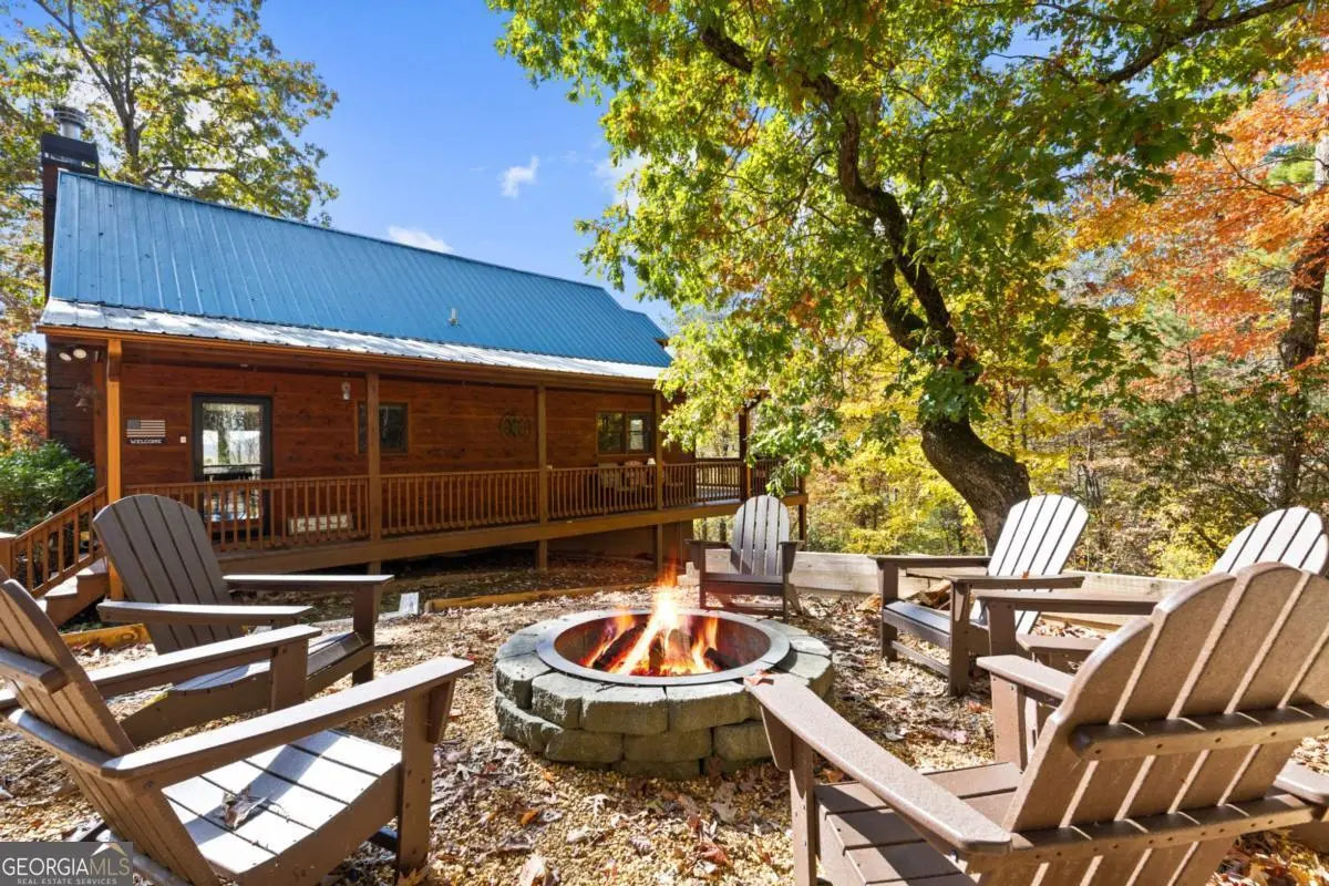 653 The Woods Road, Mineral Bluff, GA 30559 - #1