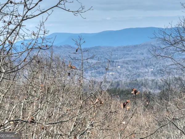 LTS 159,160 Hickory Trace, Ellijay, GA 30536