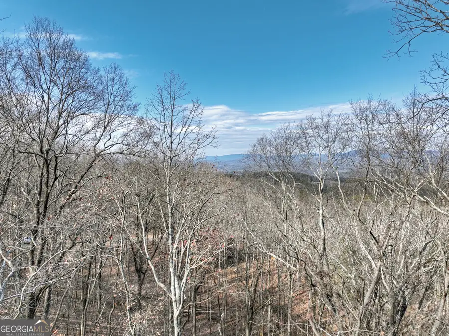 LTS 159,160 Hickory Trace, Ellijay, GA 30536 - #2