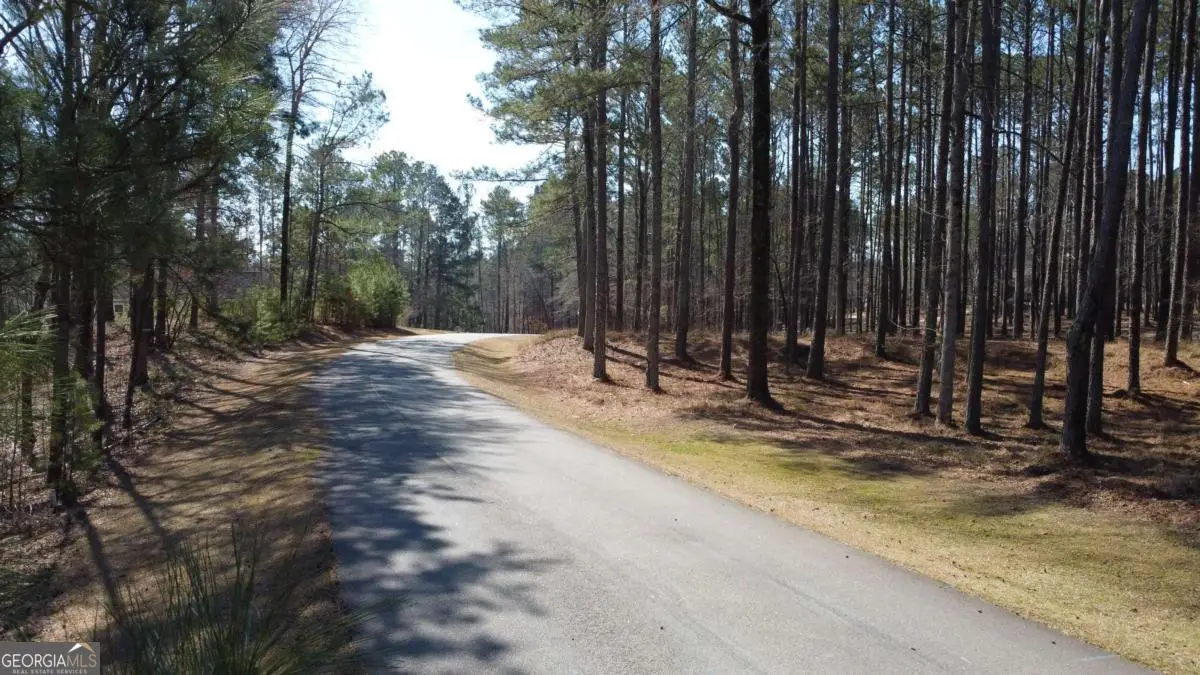 1041 Shadow Creek Way, Greensboro, GA 30642 - #1