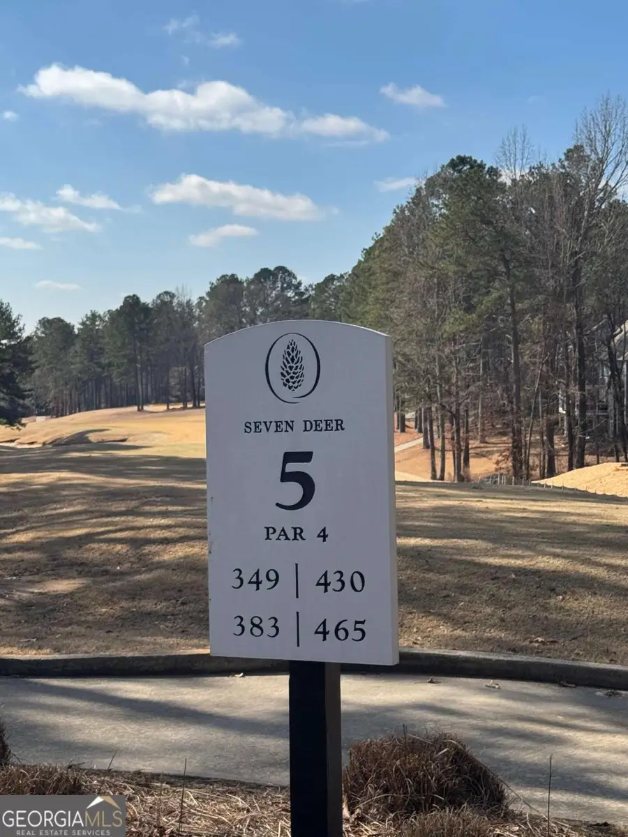 1041 Shadow Creek Way, Greensboro, GA 30642 - #2