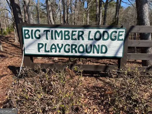 1041 Shadow Creek Way, Greensboro, GA 30642 - #3