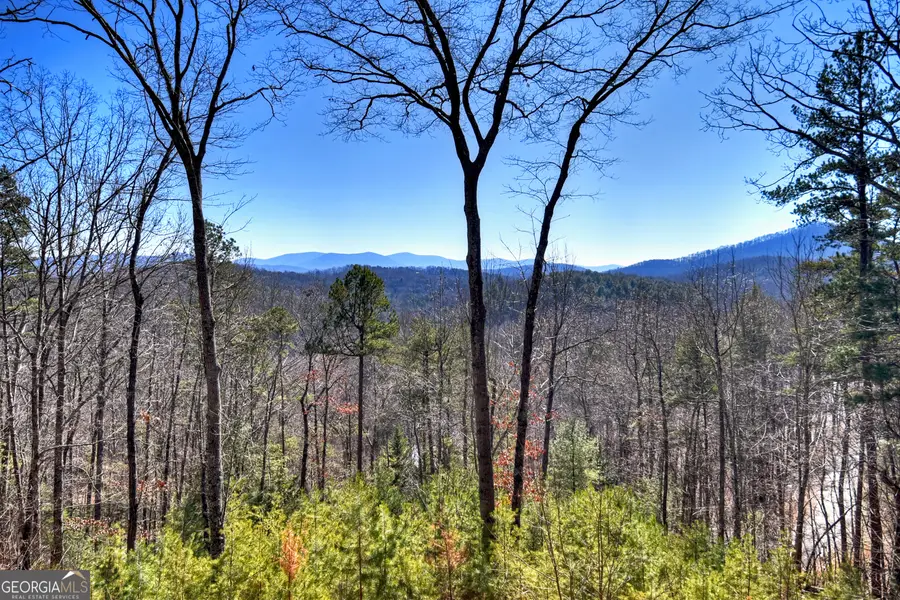 78 Brass Hill Road, Blue Ridge, GA 30513 - #3