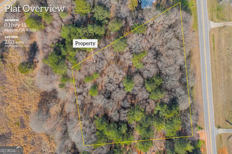 0 Highway 11, Monroe, GA 30656 - #3