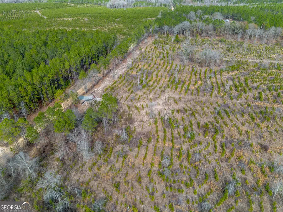 TRACT 1 Wilson Woodard Road, Eastman, GA 31023 - #2