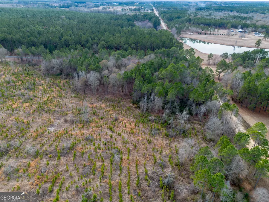 TRACT 1 Wilson Woodard Road, Eastman, GA 31023 - #3