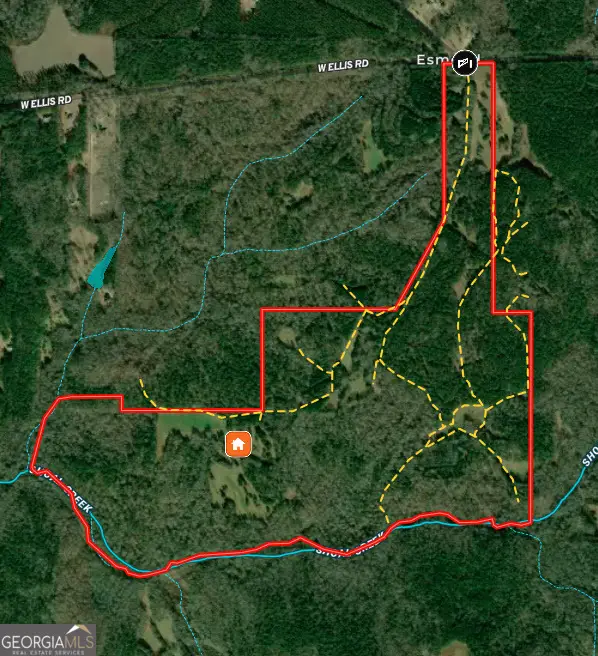 282.37 AC W Ellis Road, Griffin, GA 30223 - #1