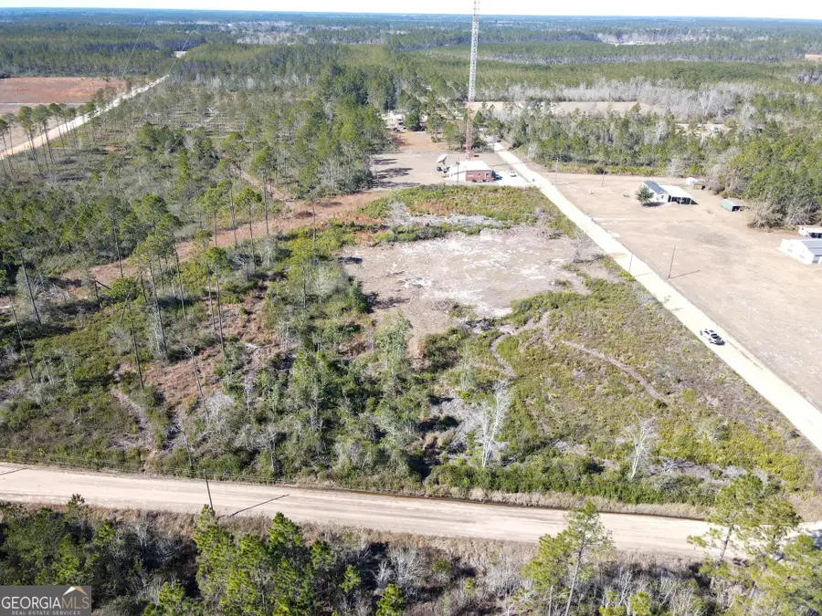 1379 Hasty Rd, Millwood, GA 31552 - #2