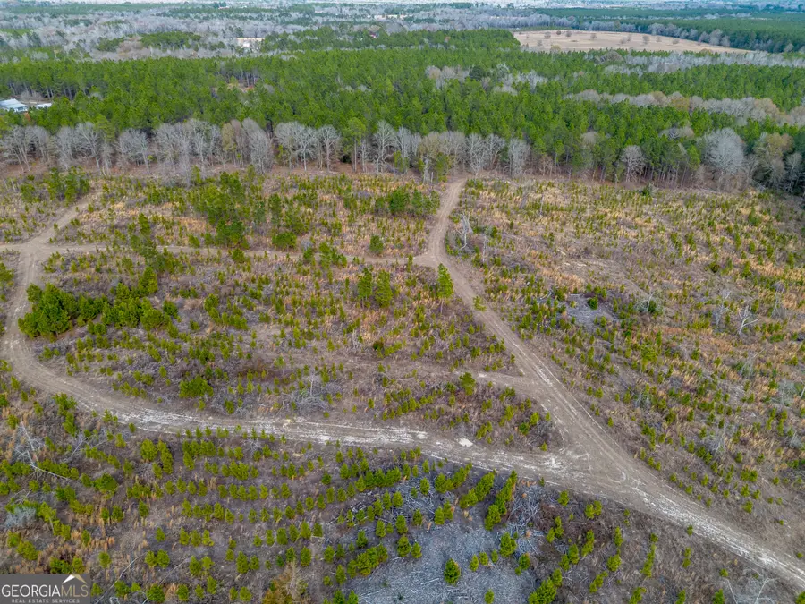 TRACT 3 Bell Line Road, Eastman, GA 31023 - #2