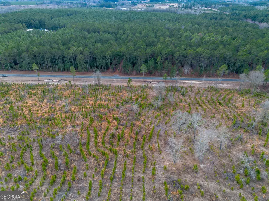 TRACT 3 Bell Line Road, Eastman, GA 31023 - #3