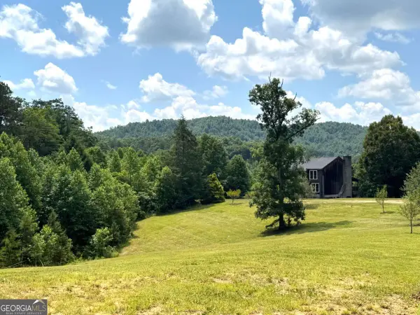 89 Simmons Ridge, Mineral Bluff, GA 30559