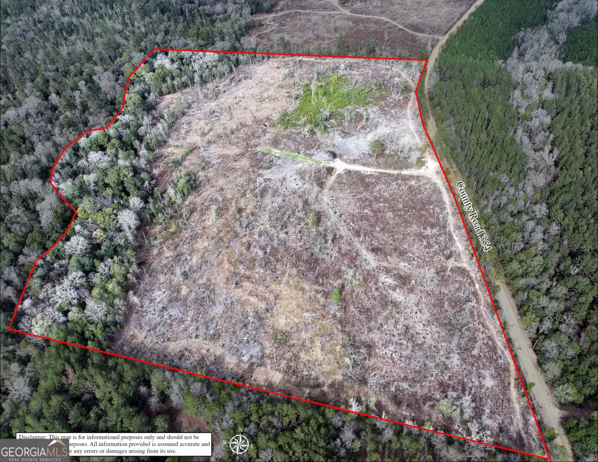 0 County Road 354, Elba, AL 36323 - Image #1