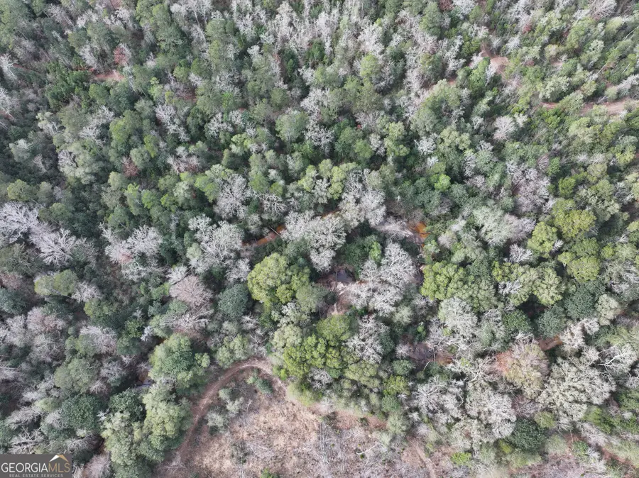 0 County Road 354, Elba, AL 36323 - Image #3