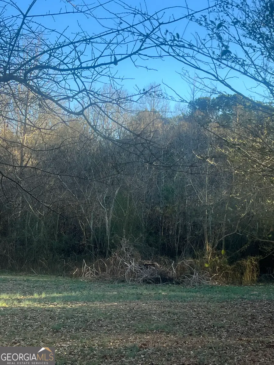 587 E Johnson Street, Temple, GA 30179 - #2